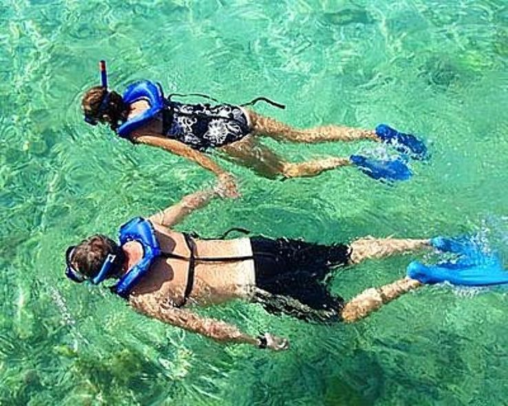 Snorkeling Trip Packages